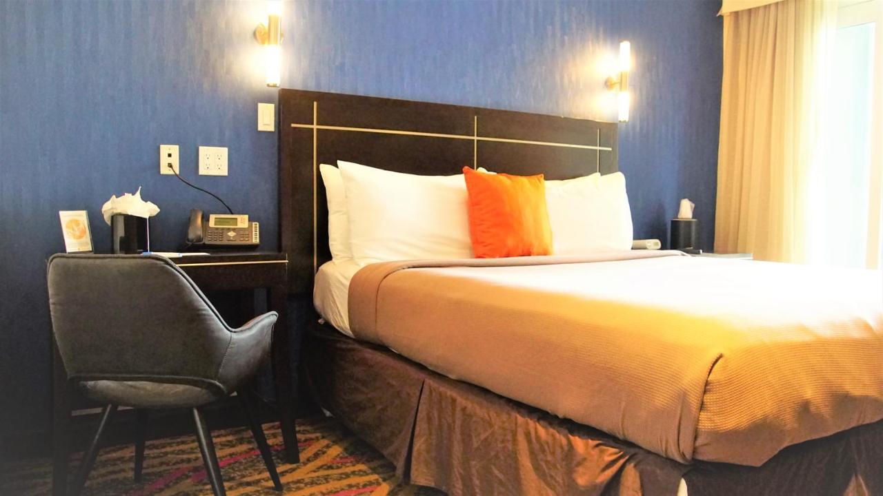 Nesva - Vista (adults Only) Nova York